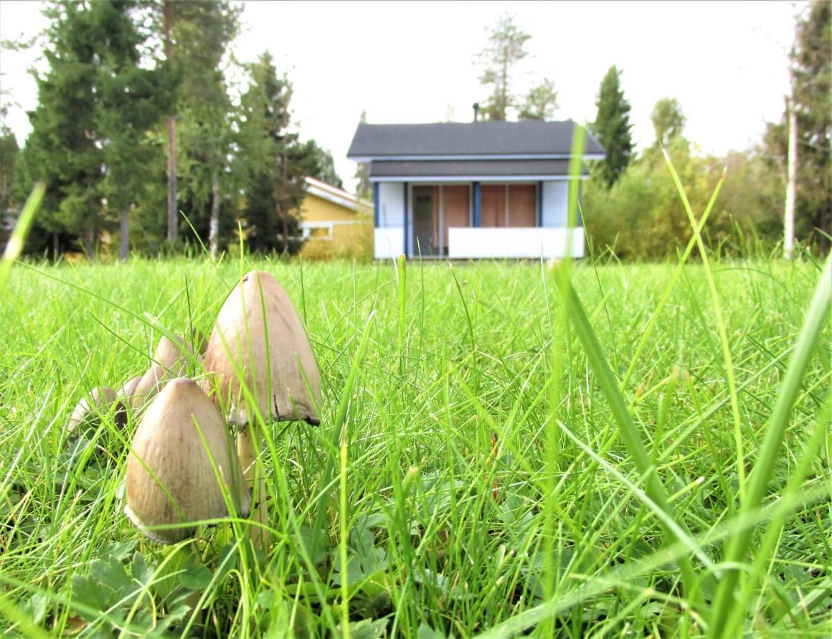 Scandinavian Dream Cottages Vikajarvi- Rovaniemi Eksteriør billede