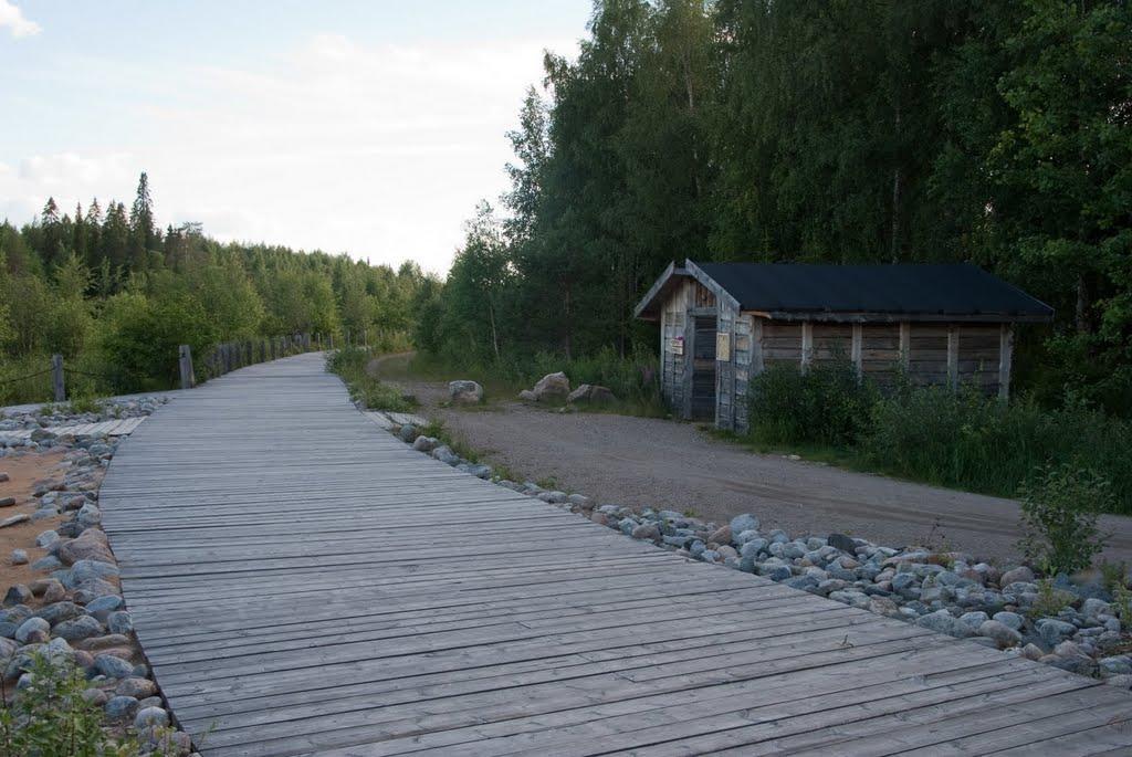 Scandinavian Dream Cottages Vikajarvi- Rovaniemi Eksteriør billede