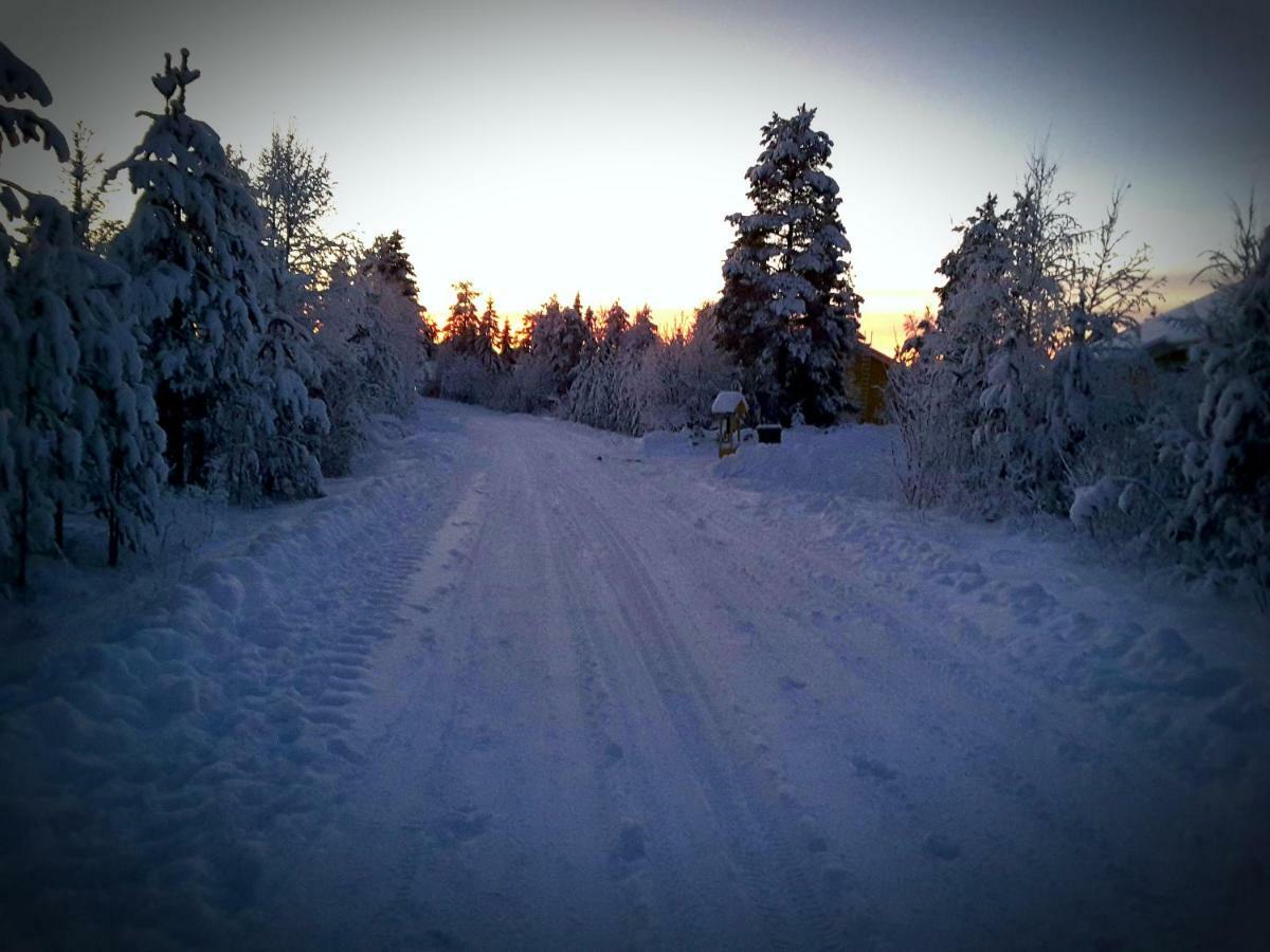 Scandinavian Dream Cottages Vikajarvi- Rovaniemi Eksteriør billede